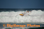 Piha Surf Boats 13 5343